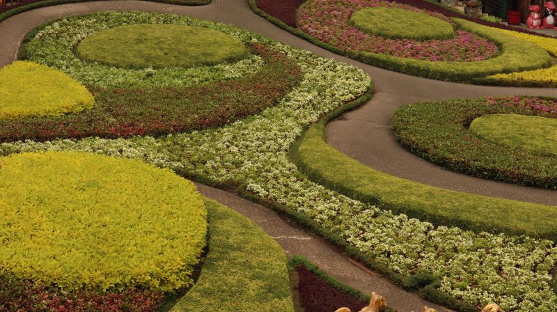 Summer Landscape Maintenance